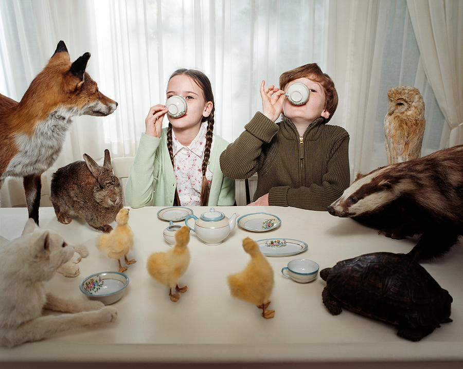 Children having a tea party with animals Photograph by Image Source