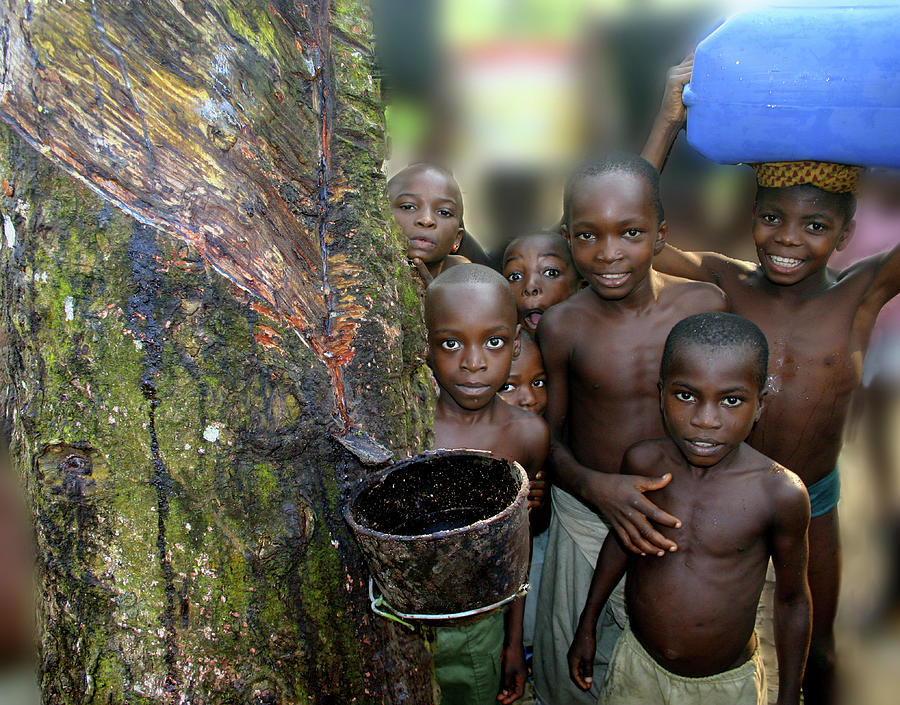 Children of the Rubber Forest Photograph by Wayne King