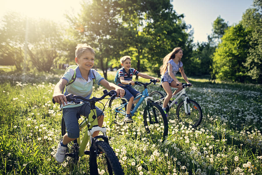 Children riding bicycles in dandelion field Photograph by Imgorthand