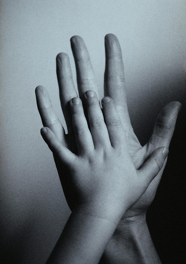 Childs hand against mans hand, palm to palm, close-up, b&w. Photograph by Laurent Hamels