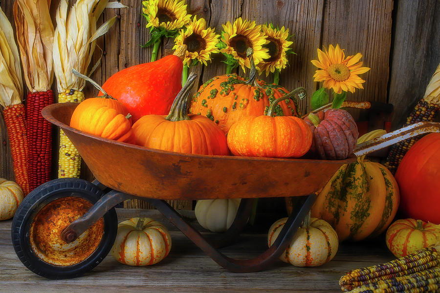 Childs Wheelbarrow Full Of Autumn Photograph by Garry Gay - Fine Art ...