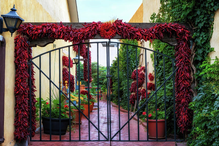 Chile Pepper Ristras - Old Town Albuquerque Photograph by Susan Rissi Tregoning