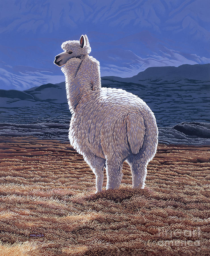 Chilean Llama Painting by Ken Walker