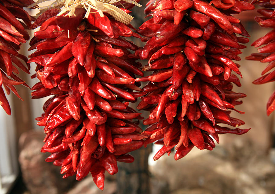 Chili Peppers Hanging Ristras Santa Fe Photograph by Lillisphotography