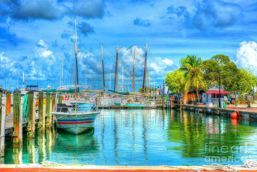 Chill in Key West Photograph by Debbi Granruth