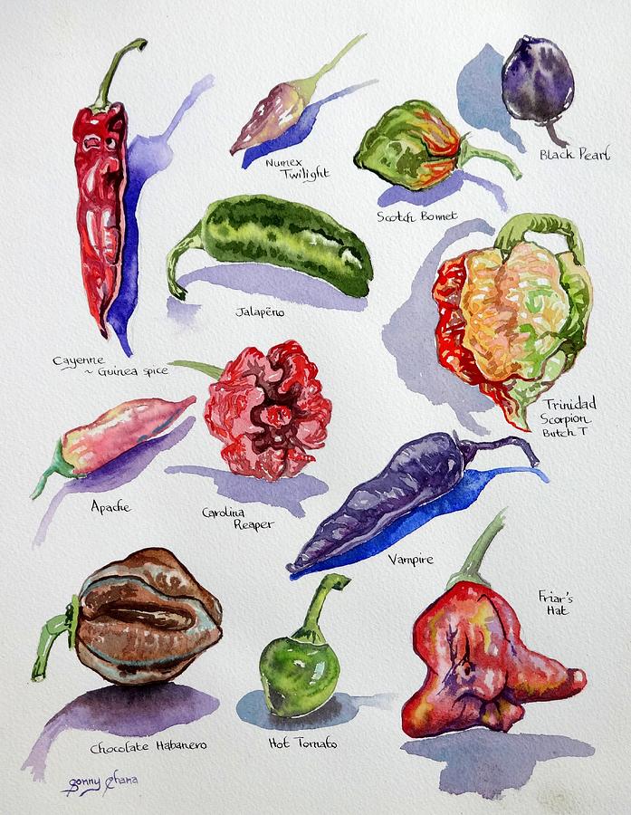 Chilli Peppers study 1 Painting by Sonny Chana