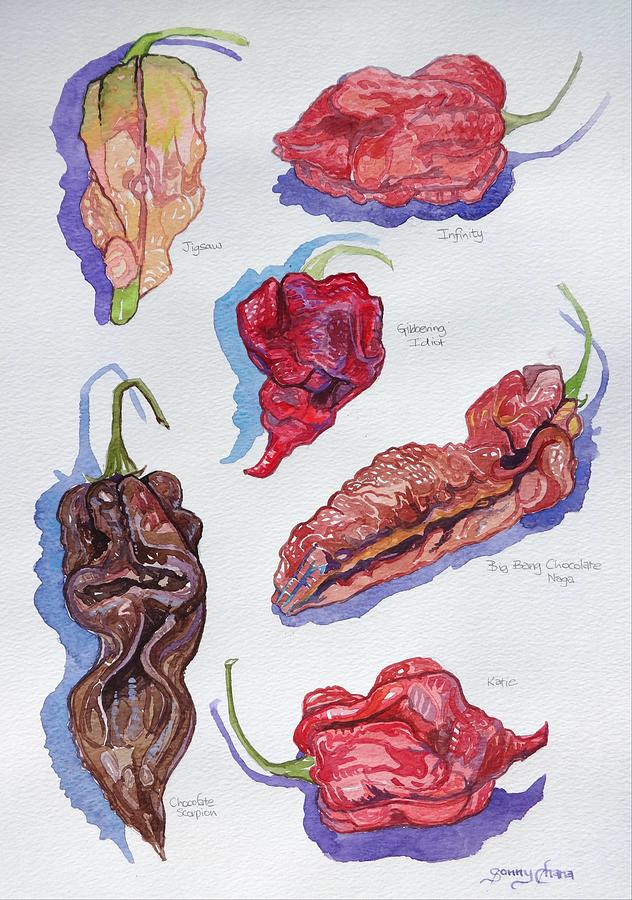 Chilli Peppers study 2 Painting by Sonny Chana