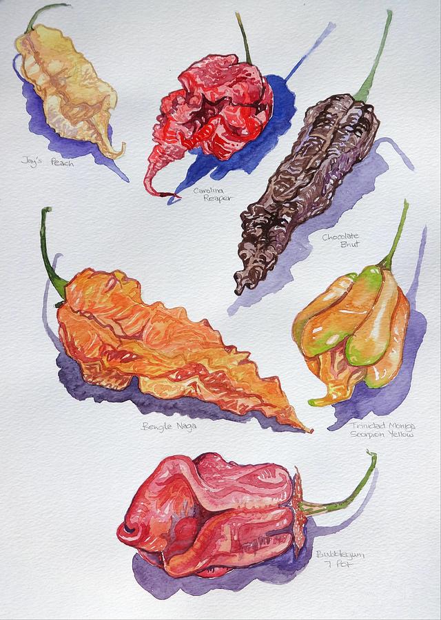 Chilli Peppers study 3 Painting by Sonny Chana