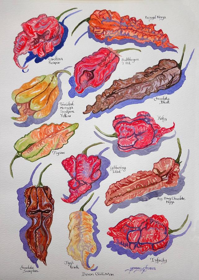 Chilli Peppers study 4 Painting by Sonny Chana