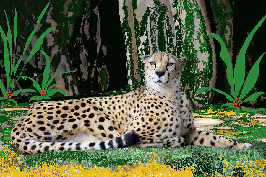 Chillin Cheetah Photograph by Felicia Roth