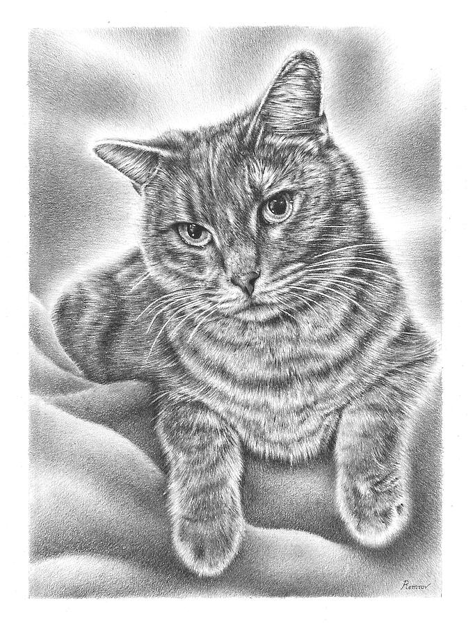 Chilling Cat Drawing by Casey Remrov Vormer