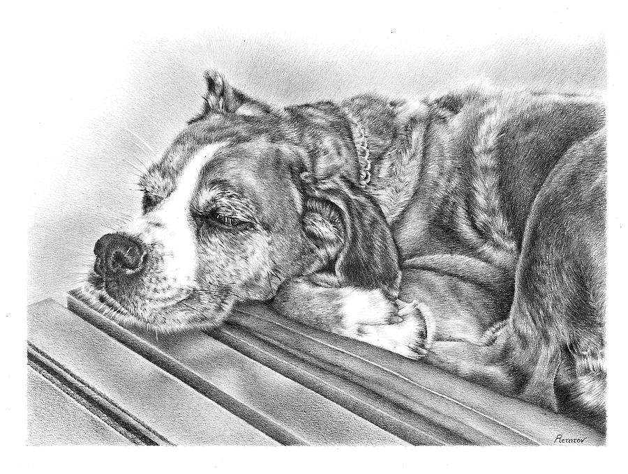 Chilling Pooch Drawing
