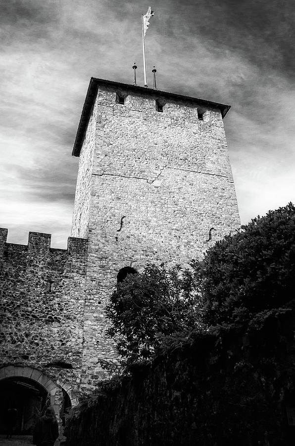 Chillon Tower Photograph by Steven Nelson