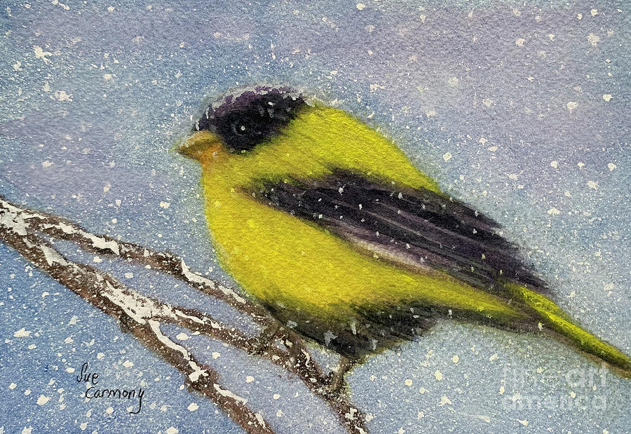 Chilly Goldfinch Painting by Sue Carmony