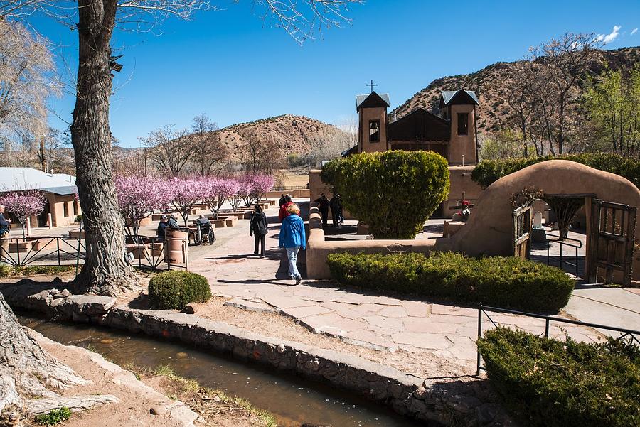Chimayo Cherry Blossoms and Potrero Ditch Photograph by Tom Cochran