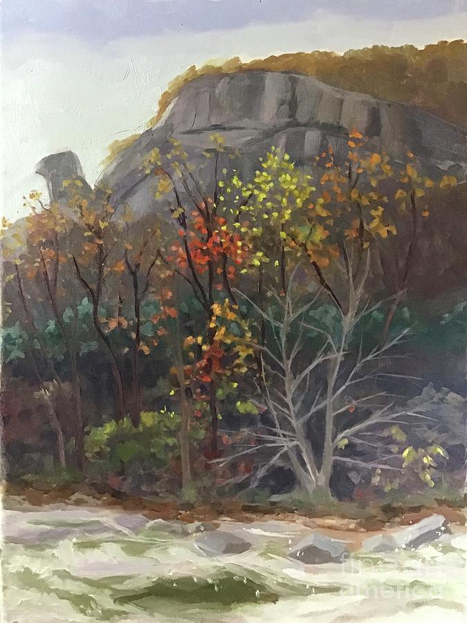 Chimney Rock Fall Painting by Anne Marie Brown