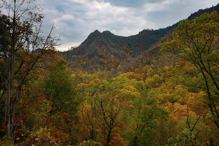 Chimney Tops In Autumn Photograph by Dan Sproul