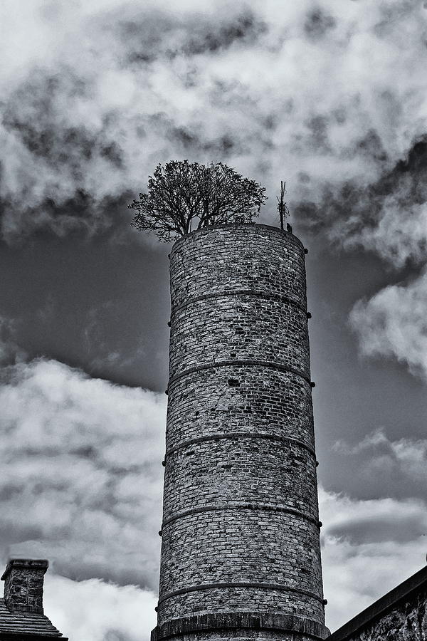 Chimney With Tree Photograph by Jeff Townsend