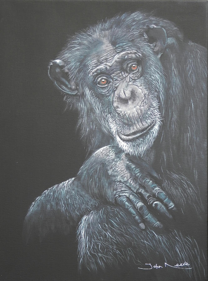 Chimp Portait Painting by John Neeve