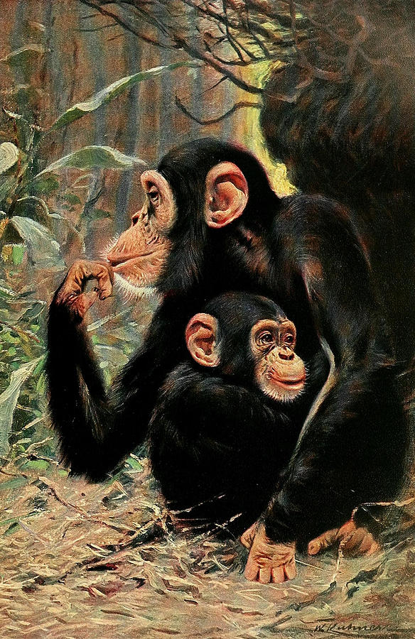Chimpanzee Mixed Media by World Art Collective