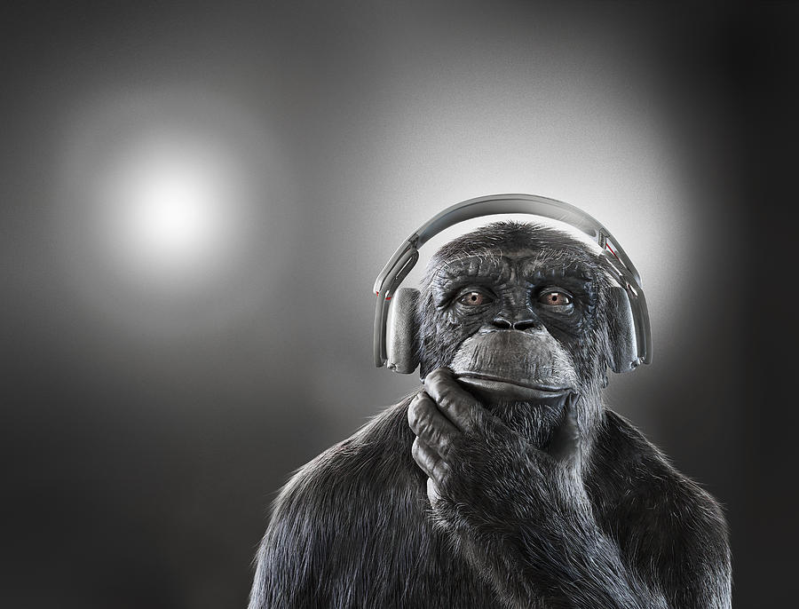 Chimpanzee with headphones Photograph by Timandtim