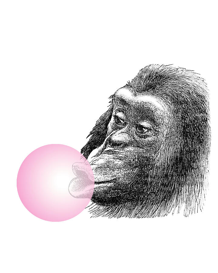 Animal Digital Art - Chimpanzee with pink bubblegum by Madame Memento