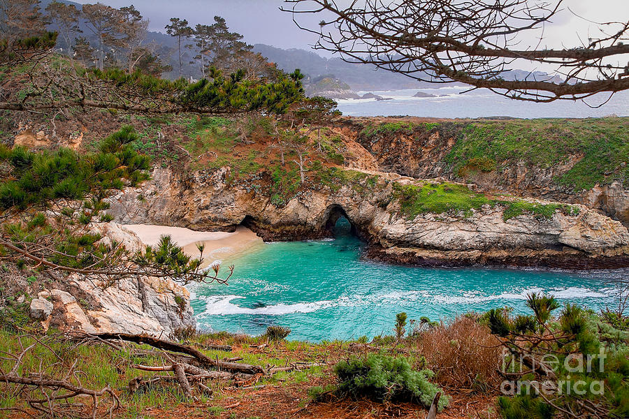 China Cove at Point Lobos Photograph by Charlene Mitchell