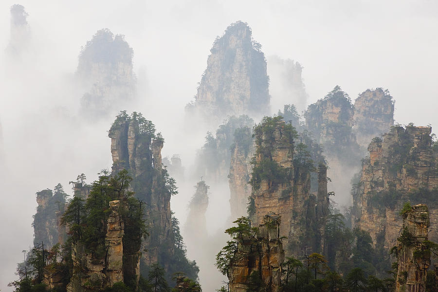China, Hunan, Zhangjijie, Mount Tianzi in fog Photograph by Peter Adams