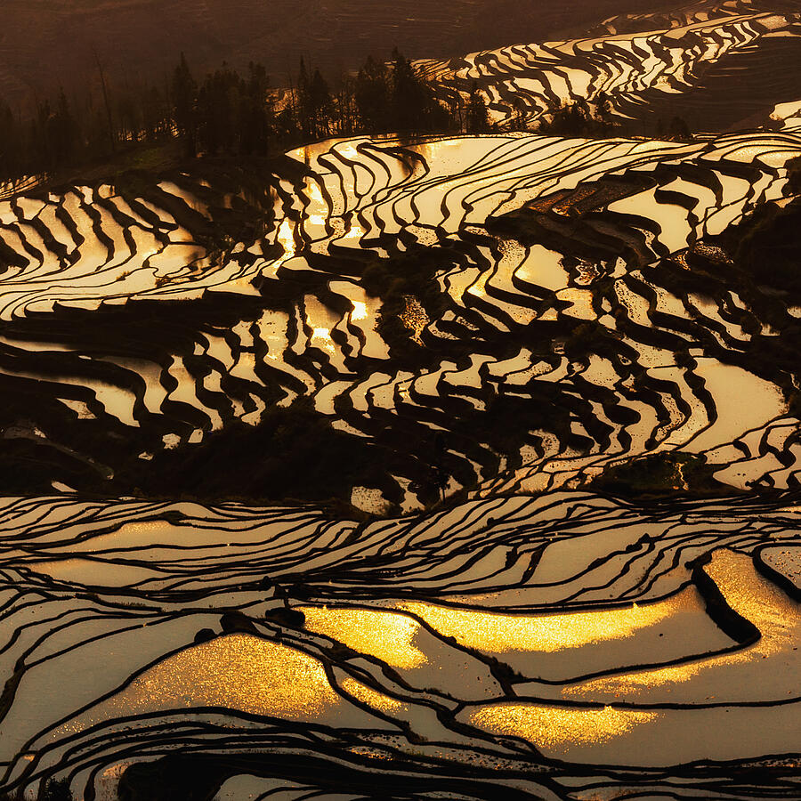 China, Yunnan, Yuanyang, rice terraces, dusk, elevated view Photograph by Kaicheng Xu,landscape and architecture photographer