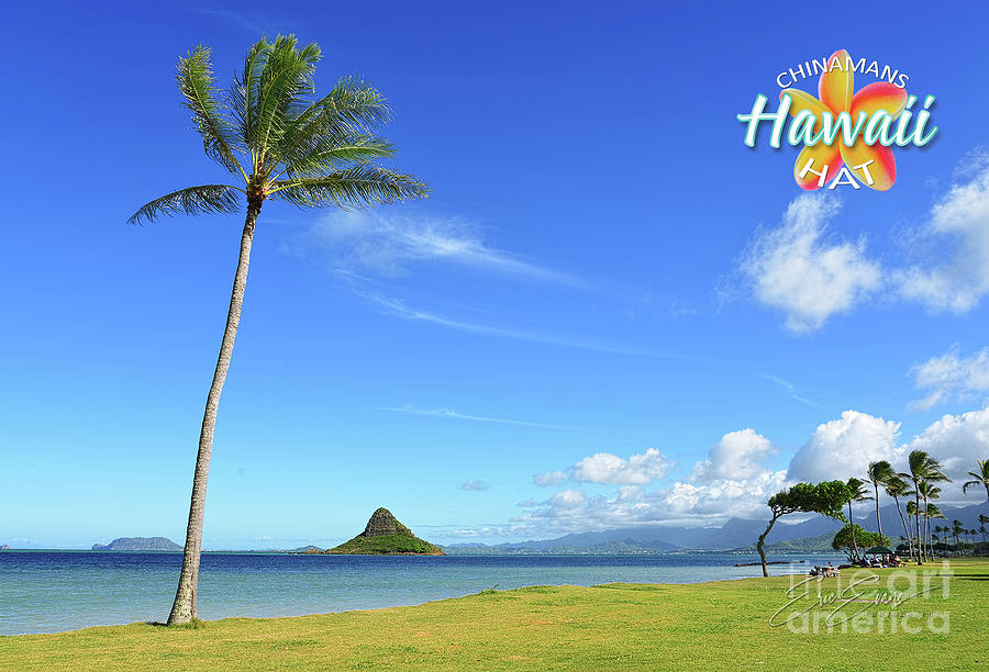 Chinamans Hat and a Lone Palm Tree Wide Post Card Photograph by Aloha Art