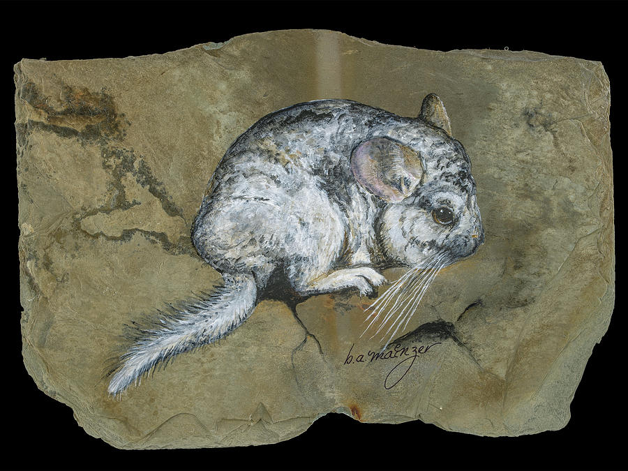 chinchilla painting