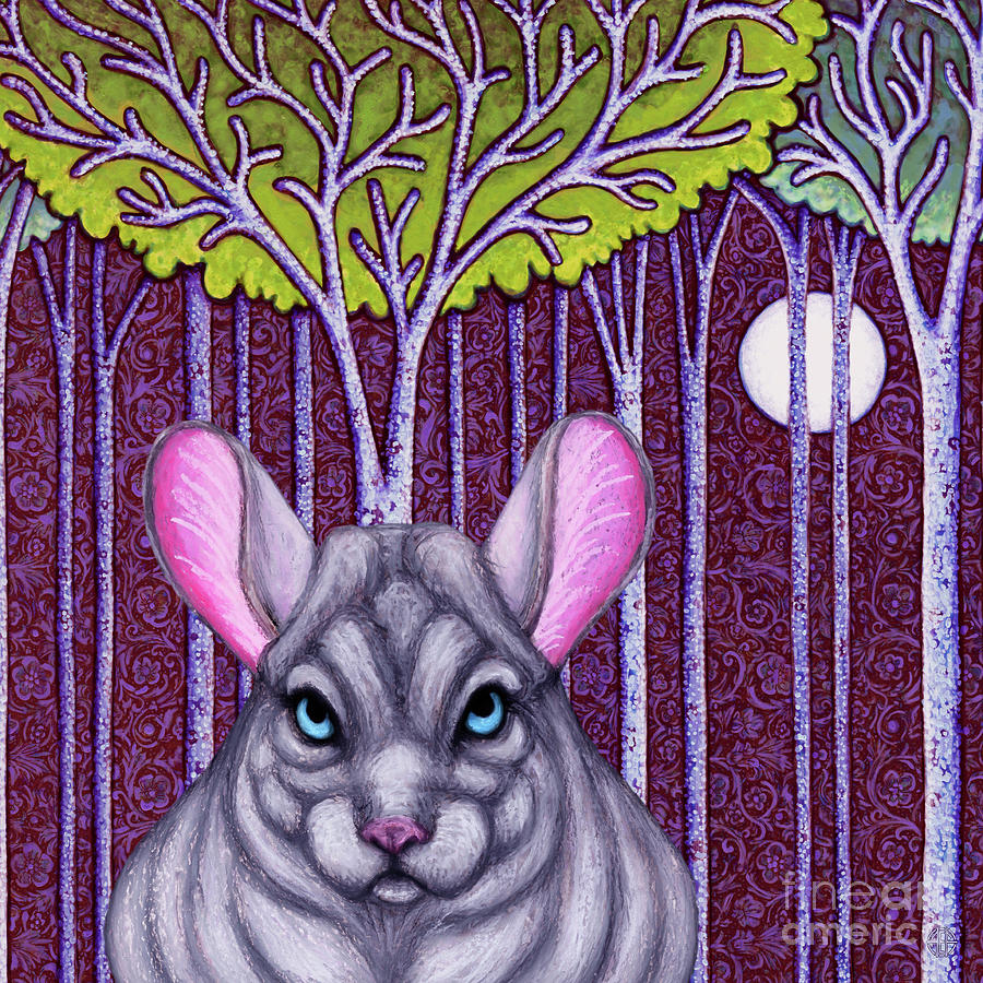 Chinchilla Moon Painting by Amy E Fraser