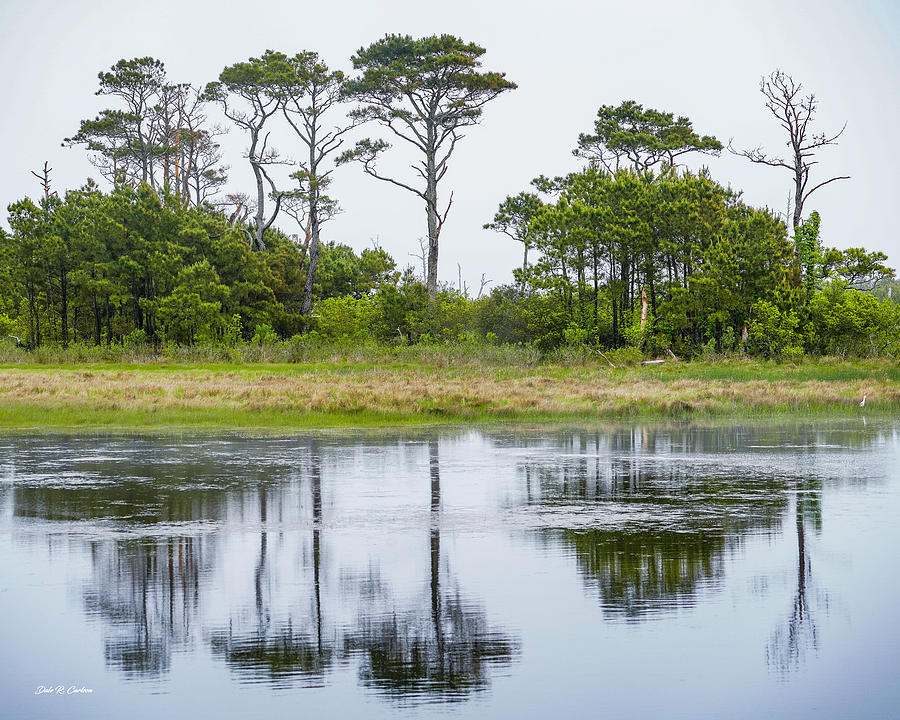 Chincoteague Reflections Photograph by Dale R Carlson