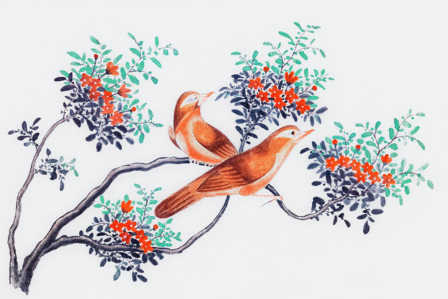 Chinese Birds Drawing