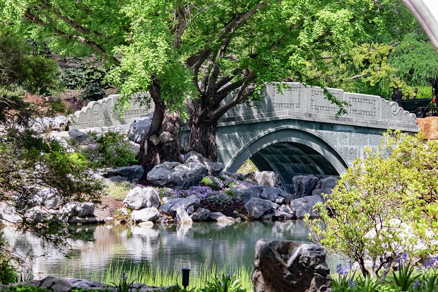 Chinese Botanical Garden Bridge Photograph