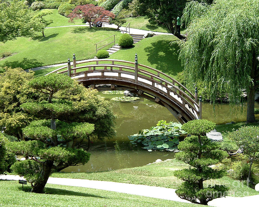 Chinese Bridge Photograph by Edie Schneider | Fine Art America