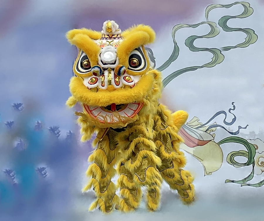 Chinese Lion Dance Photograph By Lyudmyla Melnyk - Fine Art America