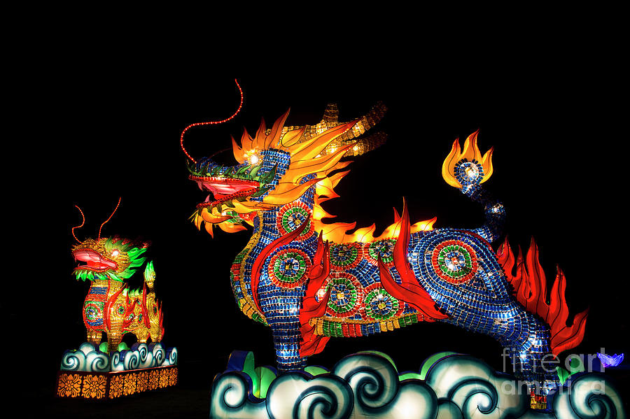 Chinese Dragon Lanterns Photograph by Tim Gainey