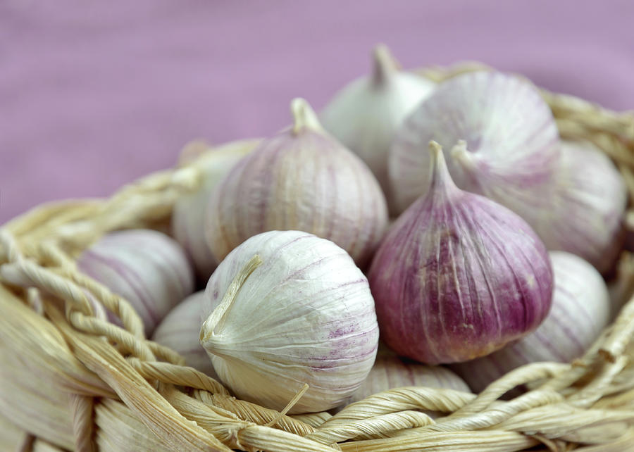 Chinese Garlic Photograph by Maria Meester