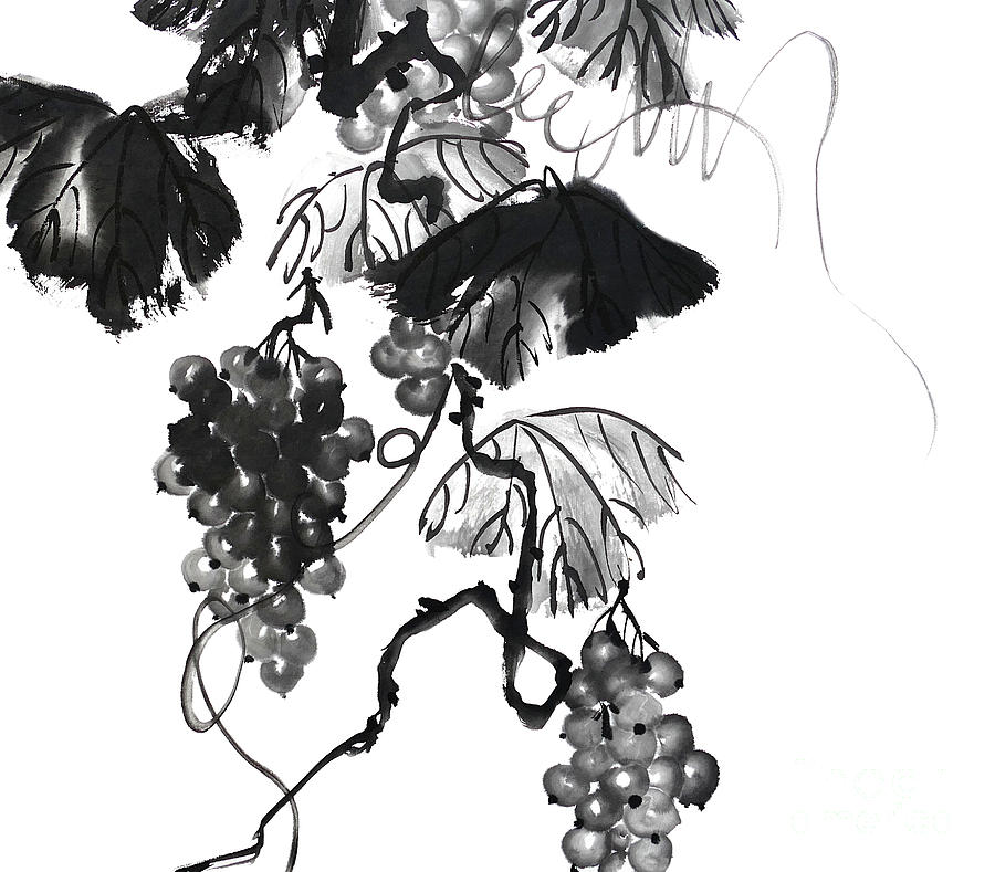 Grape Painting - Chinese Grapes two - no Cally by Birgit Moldenhauer