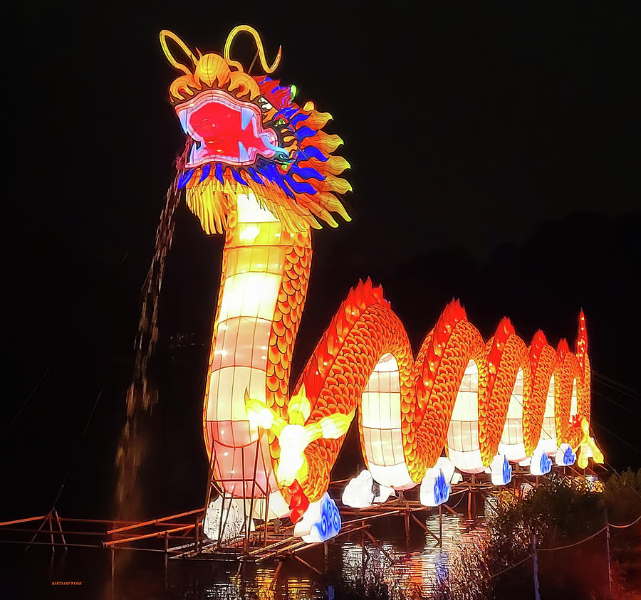 Chinese Lantern Festival Dragon Photograph by Roberta Byram