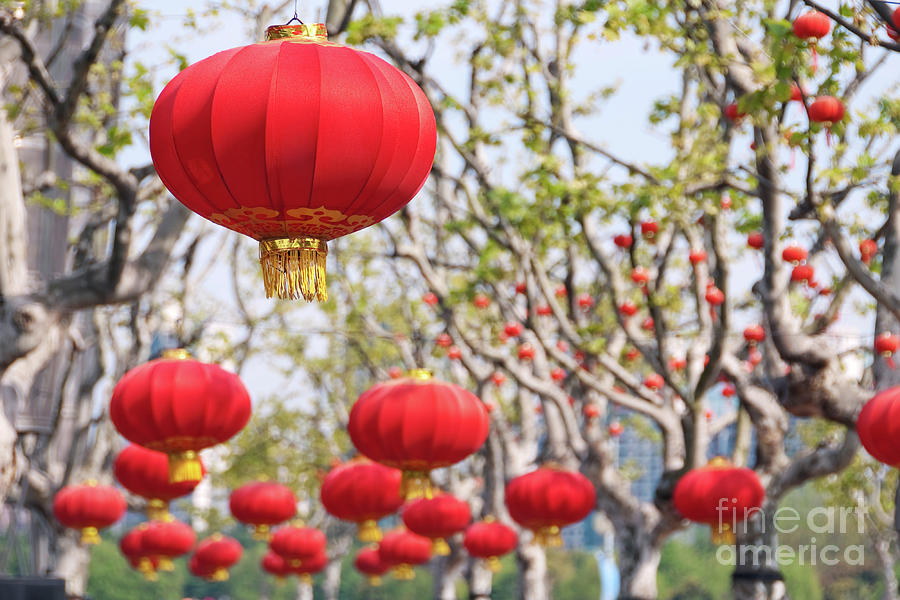 Chinese lanterns in Shanghai Photograph by Delphimages Photo Creations