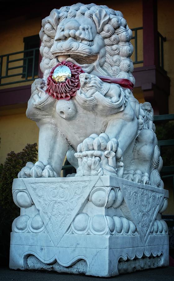 Chinese Lion Statue Photograph by Maggy Marsh