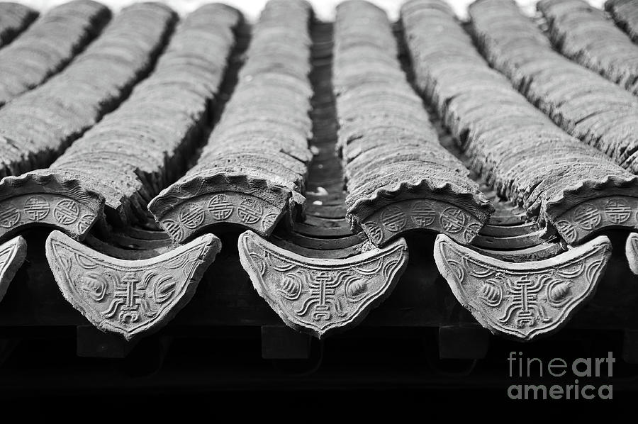 Chinese roof tiles Photograph by Delphimages Photo Creations