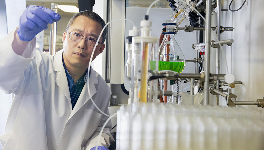 Chinese scientist working in lab Photograph by Ariel Skelley