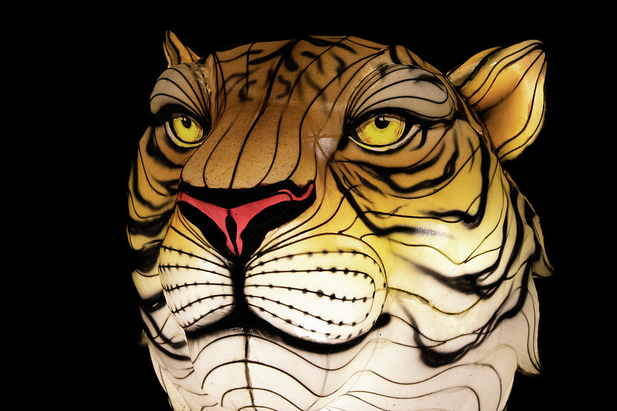 Chinese Tiger Lantern 2 Photograph by Rick Nelson