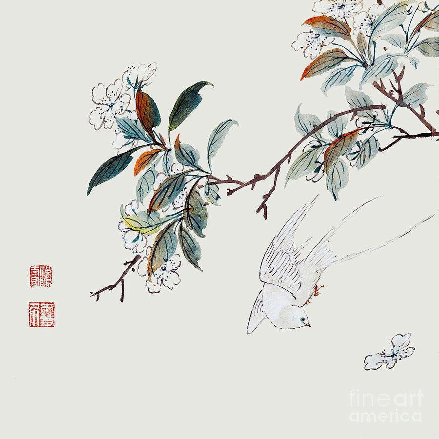 chinese flowers drawings