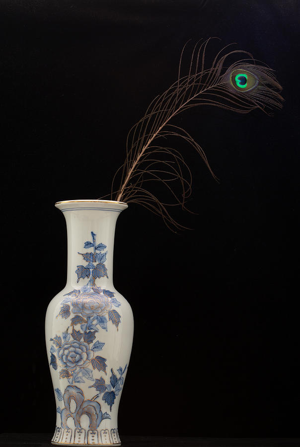 Japanese Vase And Peacock Feather Photograph