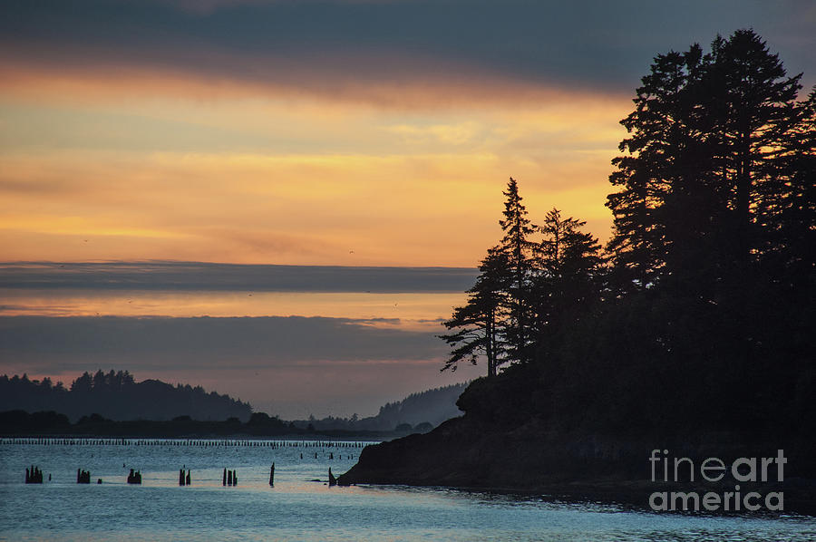 Chinook Point On The Lower Columbia, 2020 Photograph By Michael Ziegler 