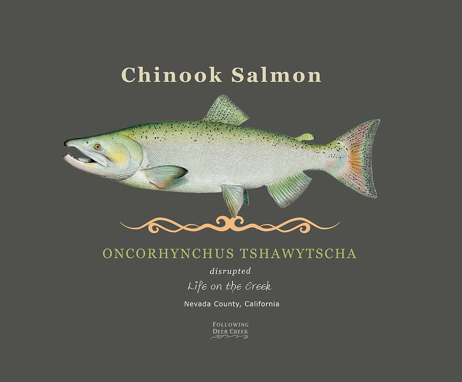 Chinook Salmon oncorhynchus tshawytscha Digital Art by Lisa Redfern
